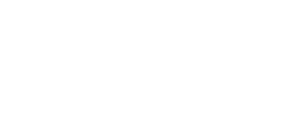 Aplinet S.A.S BIC